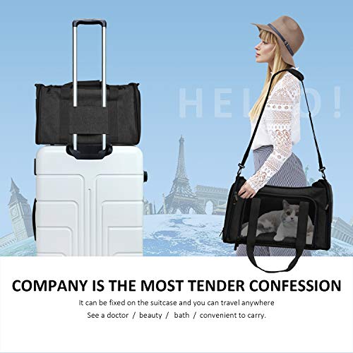 New Henkelion Soft-Sided Cat Carrier | Black & Up to 15 lb
