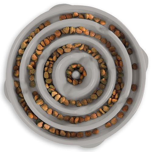 New Outward Hound Large Slow Feeder Bowl | Blue, Large (4 Cups)