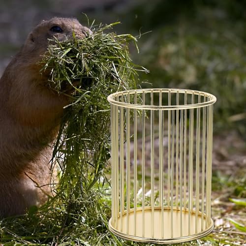 New Beaupretty Rabbit Feeder Hay Rack (Golden)