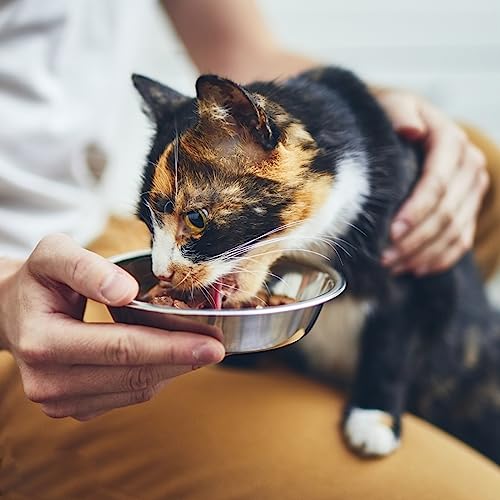 New GCVOPTON Stainless Steel Cat Bowls | 8 pcs, 5.5 inch