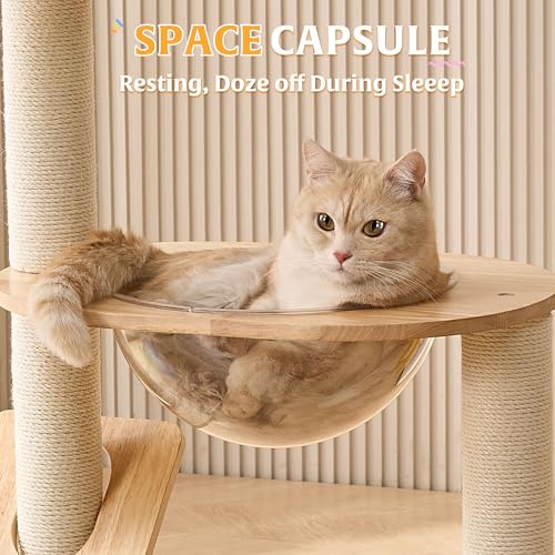 New HITTITE Solid Wood Cat Tree Tower with Scratcher Board & Ball | 37.8"