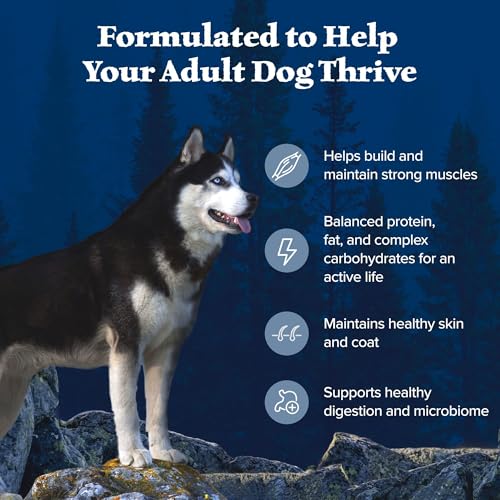 New Blue Buffalo Wilderness Adult High-Protein Dry Dog Food | Chicken • 24 lb