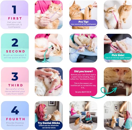 New RYERCAT Dual Sided Cat Toothbrush with Micro Head | Candy Cane