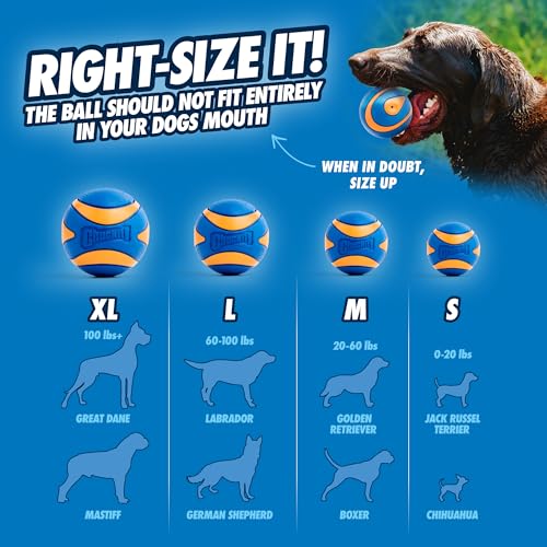New Chuckit! Ultra Squeaker Balls | Orange/Blue, Medium (2-Pack, 2.5")