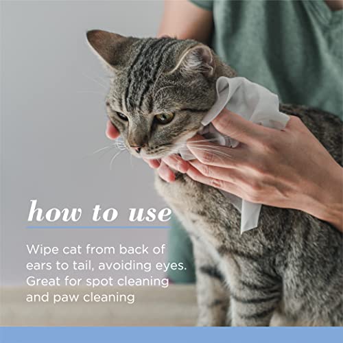 New Burt's Bees for Pets Kitten Wipes with Buttermilk | 50 count, 6 pack