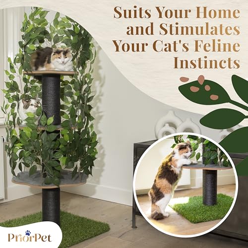 New Cat Tree Scratching Post for Climbing, Hiding and Sleeping | Green-160cm