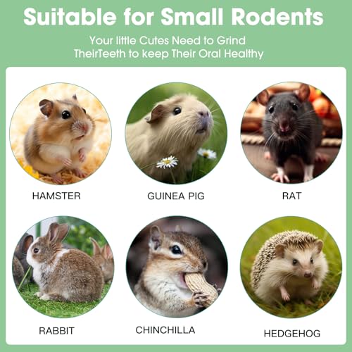 New WDEFUN Bunny Chew Toys Natural Hanging Rabbit Chew Toy Treats | 3 pcs