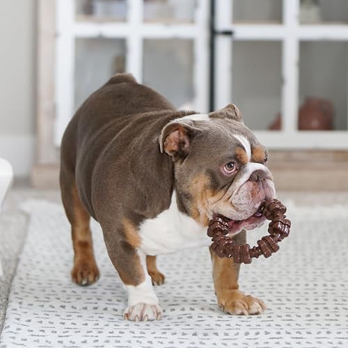 New Nylabone Textured Ring Power Chew | Flavor Medley, X-Large (50+ lbs)