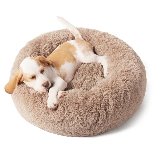 New Bedsure Calming Dog Bed for Small Dogs | 23 inches, Camel