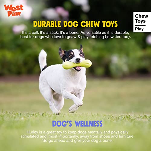 New West Paw Zogoflex Hurley Dog Bone | Granny Smith, X-Small