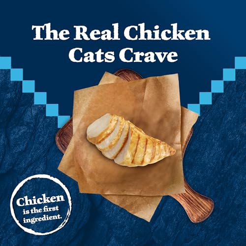 New Blue Buffalo Wilderness Adult Indoor Dry Cat Food | 15 lb bag, Chicken