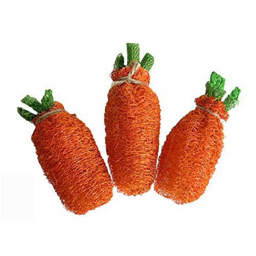 New ASYWISH Rabbit Chew Toy Natural Loofah Carrot Small Animal Grinding Playing Toy