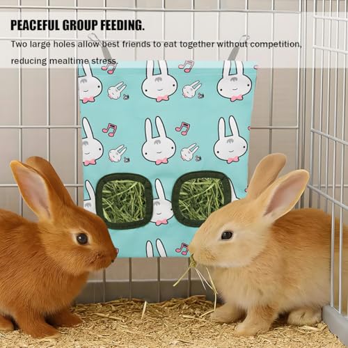 New Aliagle Small Animal Hay Feeder | Rabbit
