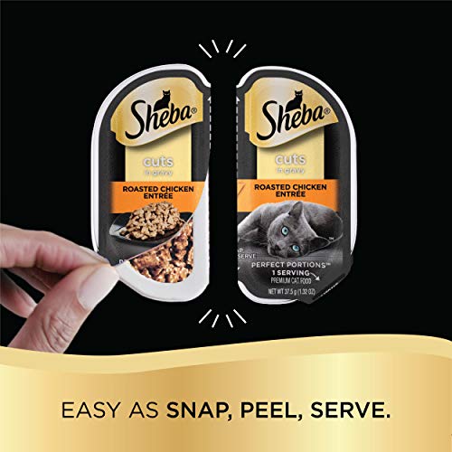New Sheba Perfect Portions Cuts in Gravy Wet Cat Food | 12 twin pack trays (24 servings), Roasted Chicken
