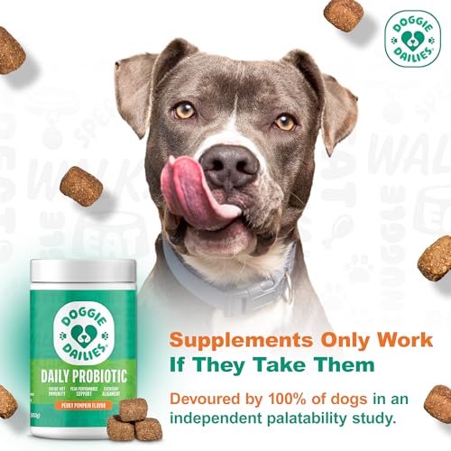 New Doggie Dailies Probiotics Soft Chews | Pumpkin, 225 Count