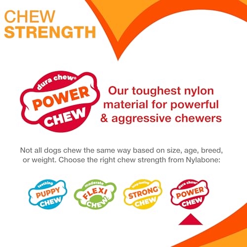 New Nylabone Textured Ring Power Chew | Flavor Medley, X-Large (50+ lbs)