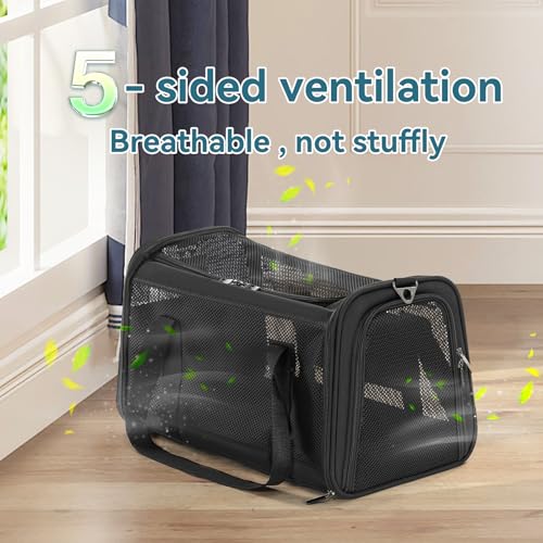 New Petsfit Collapsible Travel Carrier | 5-Side Ventilation, Grey