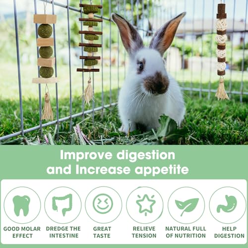 New WDEFUN Bunny Chew Toys Natural Hanging Rabbit Chew Toy Treats | 3 pcs