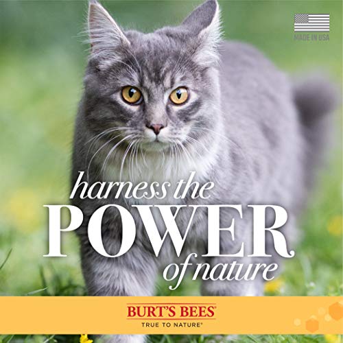 New Burt's Bees Hypoallergenic Cat Shampoo and Dander Reducing Grooming Wipes