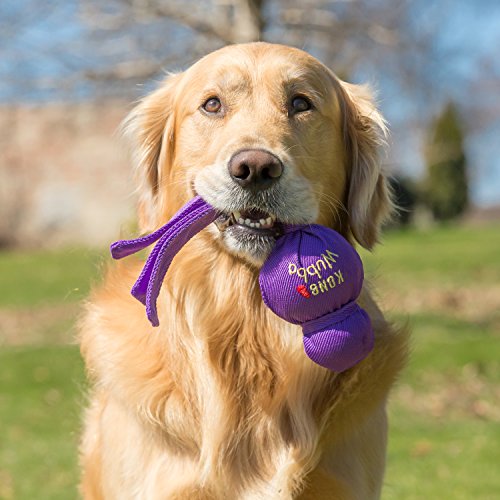 New KONG Wubba Tug & Fetch Toy | Assorted, Large