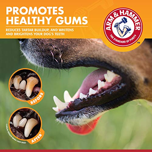 New Arm & Hammer Clinical Care Enzymatic Toothpaste | Chicken, 2.5 oz