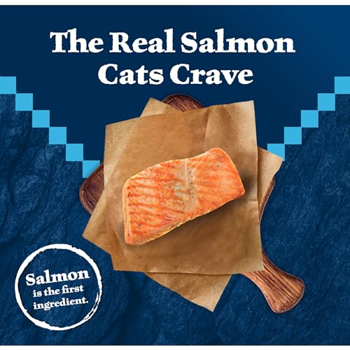 New Blue Buffalo Wilderness Adult Dry Cat Food | 11 lb bag, Salmon