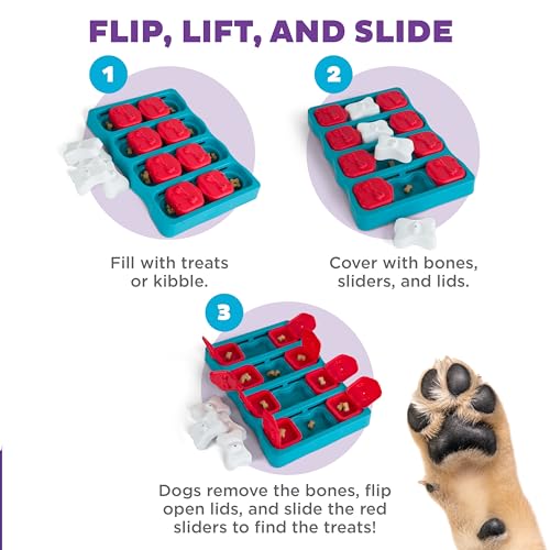 New Outward Hound Nina Ottosson Dog Brick Puzzle | Blue, One Size (Level 2)