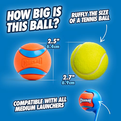 New Chuckit! Ultra Ball Dog Toy | Orange/Blue, Medium (2-Pack, 2.5")