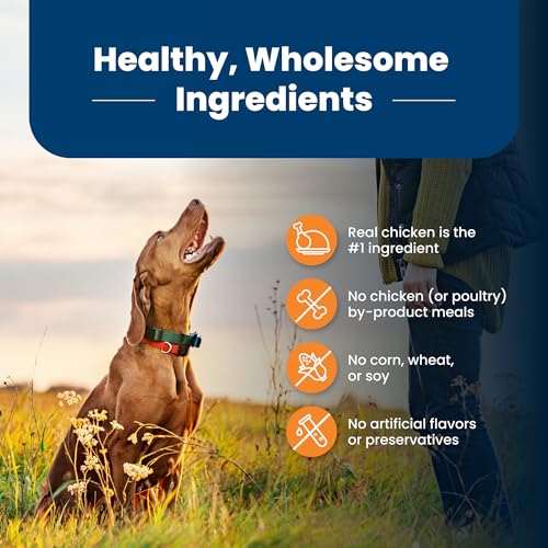 New Blue Buffalo Life Protection Formula Large Breed Adult Dry Dog Food | Chicken & Brown Rice • 30 lb