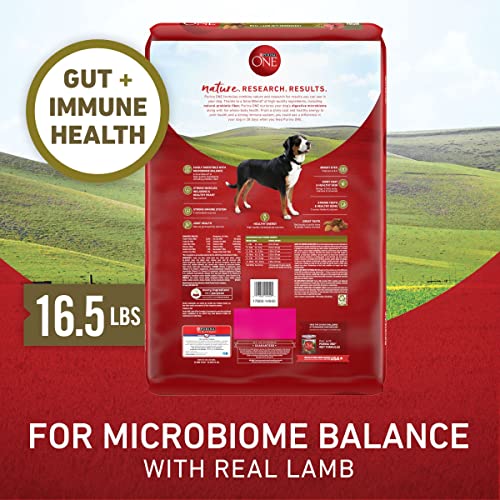 New Purina ONE Dry Dog Food | Lamb & Rice • 16.5 lb