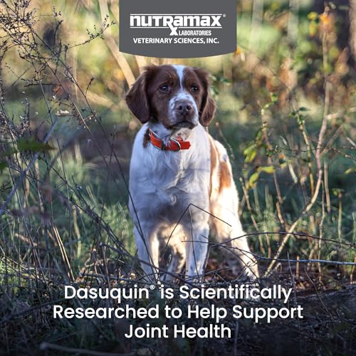 New Nutramax Dasuquin with MSM Soft Chews | Small/Medium Dogs, 84 Count