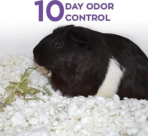 New carefresh 99% Dust-Free White Natural Paper Small Pet Bedding | White, 10 L