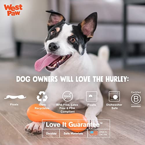 New West Paw Zogoflex Hurley Dog Bone | Granny Smith, X-Small