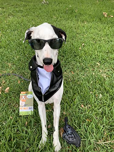 New BioBag Compostable Pet Waste Bags | Standard, 50 Count (Pack of 4)