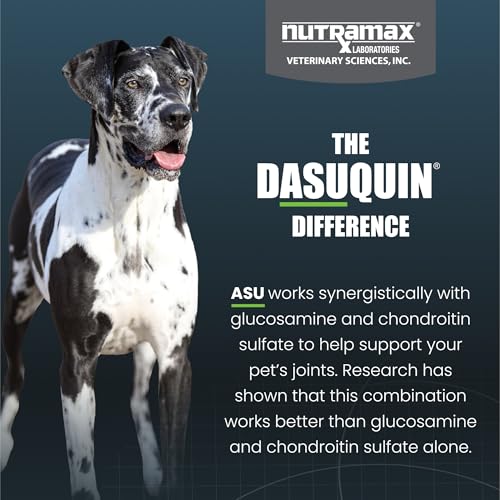 New Nutramax Dasuquin Soft Chews | Large Dogs, 150 Count