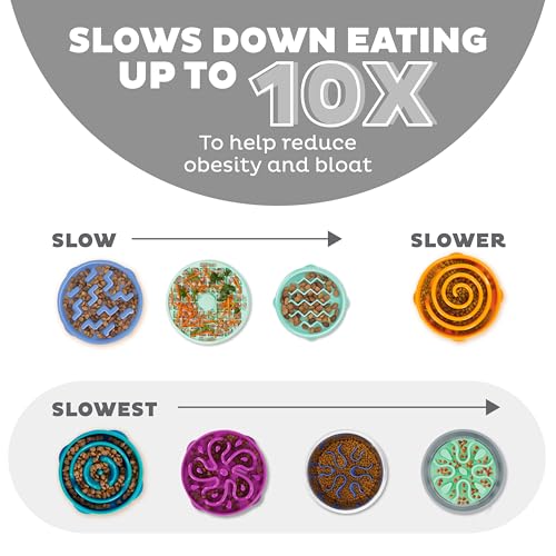 New Outward Hound Large Slow Feeder Bowl | Blue, Large (4 Cups)