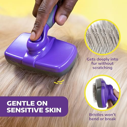 New Hertzko Self Cleaning Slicker Brush for Dogs and Cats | Purple