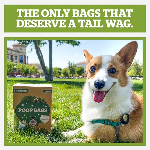 New Pogi’s Dog Poop Bags with Handles | Fresh Scent, 300 Count