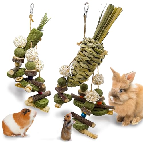 New Acsist Rabbit Chew Toy Bunny Cage Hanging Chew Toy and Treats | 2 pcs