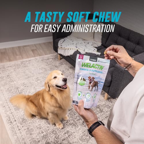 New Nutramax Welactin Omega-3 Soft Chews | 60 Count