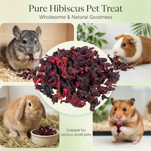 New RAINFLOW Hibiscus Flower Small Animal Treat | 5.3oz