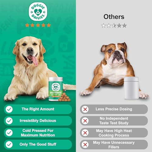 New Doggie Dailies Probiotics Soft Chews | Pumpkin, 225 Count