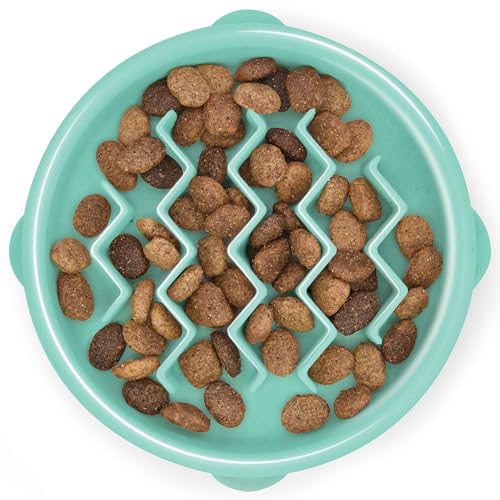 New Outward Hound Small Fun Feeder Slow Bowl (Puzzle) | Mint, ¾ Cup