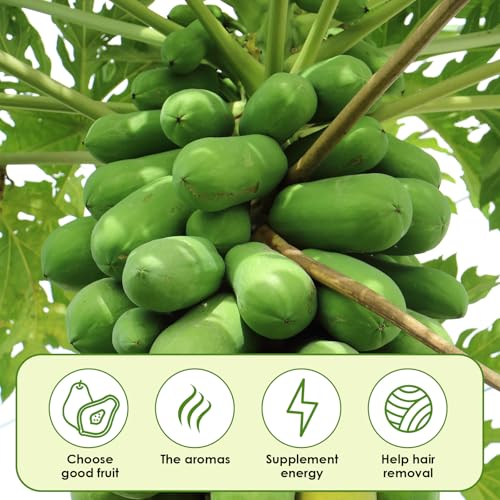 New Tyotrbs Bunny Chew Toys Hamster Rabbit Cage Hanging Chew Toys Apple Wood Treats | 6 pcs