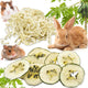 New Tyotrbs Bunny Chew Toys Hamster Rabbit Cage Hanging Chew Toys Apple Wood Treats | 6 pcs