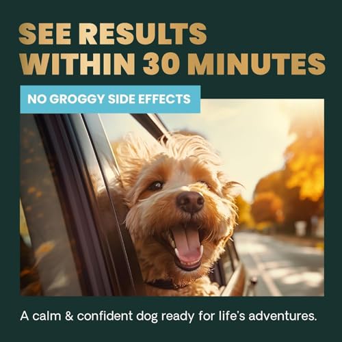 New VetriScience Composure Calm & Confident Chews | Chicken, 120 Count