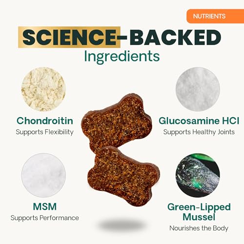 New VetriScience GlycoFlex 3 Hip & Joint Chews | Chicken, 120 Count