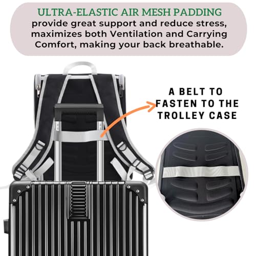 New Lollimeow Cat Backpack Carrier, Fully Ventilated | Mesh Black