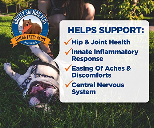 New Grizzly Salmon Plus Omega 3-6-9 | 16 oz