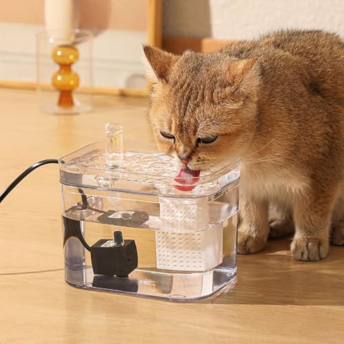 New USB Cat Water Fountain PC103-1 | 1.5L/50oz, Clear